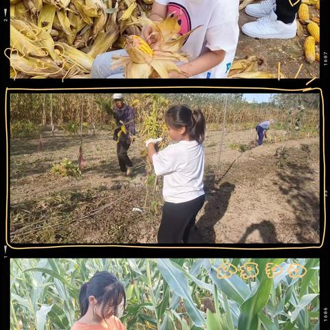 习劳知感恩，劳动最光荣 富管营小学“双节”劳动实践活动