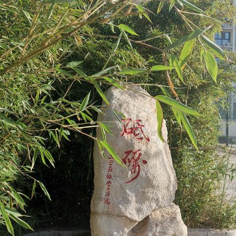 家校携手话成长，同心共育百花开——济宁市第十三中学初一下学期家长会