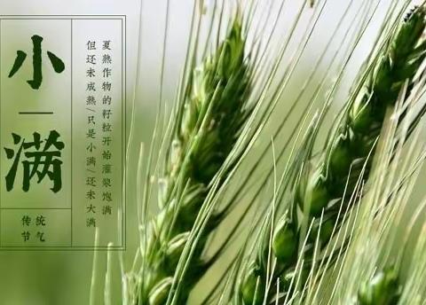 “小满未满，幸福满满” 二十四节气—小满