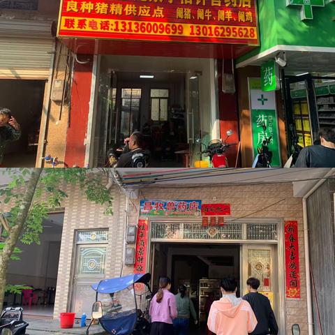 龙泉镇开展兽医药宠物门店排查工作