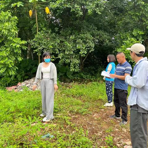 龙华区龙泉镇2024年开展非法种植毒品原植物踏查工作