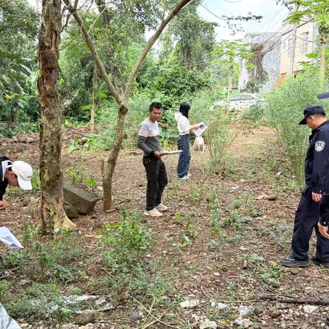 龙华区龙泉镇开展2025年非法种植毒品原植物踏查铲除行动