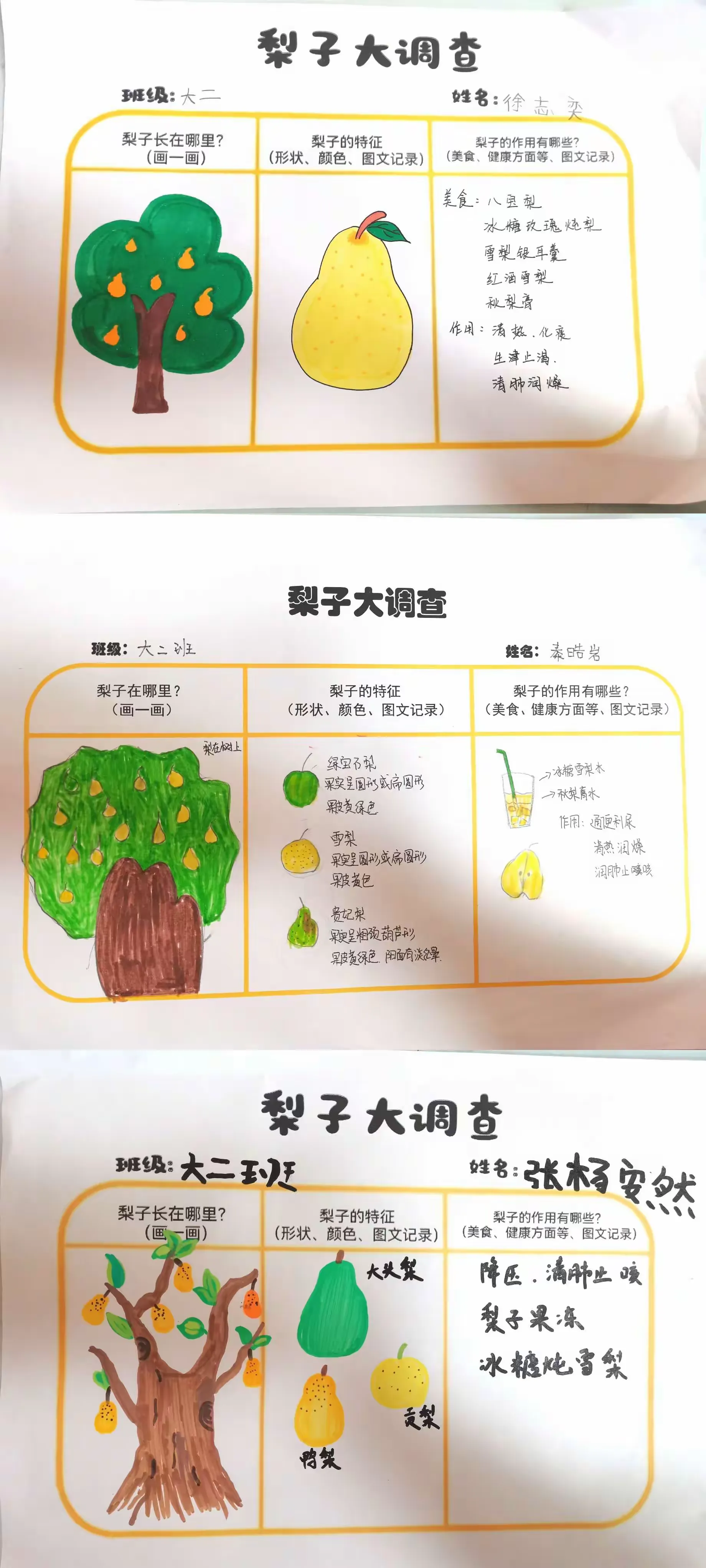 简篇-冬季奇遇——与“梨”相遇
32035部队幼儿园课程故事
