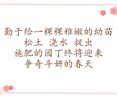 关爱学生幸福成长·师德师风－－良寨小学董亚芳