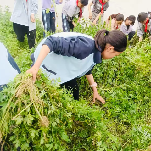 绿色点亮生活，健康护佑生命