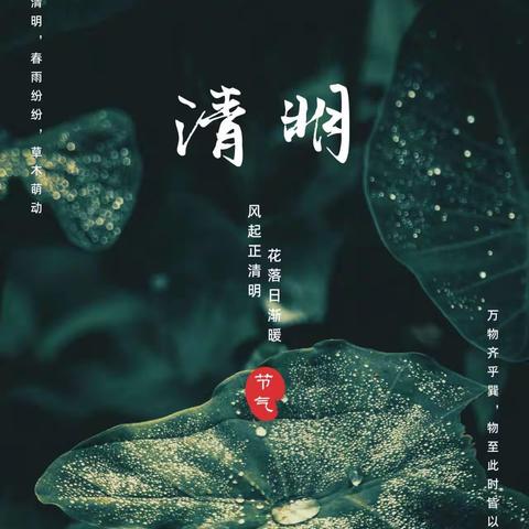 “春雨润于心，清明融于情”——石坝镇中心幼儿园清明节主题活动