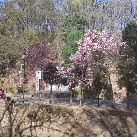 2023春说走就走的旅行