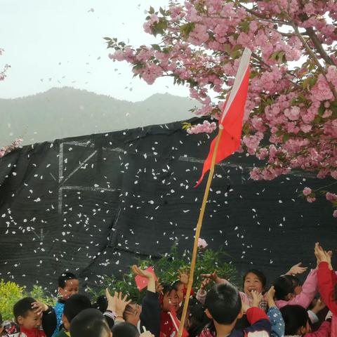 沟口教学点“感知春天”探索活动纪实