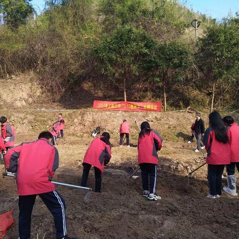 手植春光 万物盎然-2024年上杭三中开展“劳动护绿”3.12植树主题活动