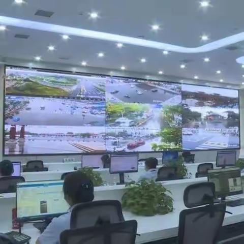 蹄疾步稳朝前进 踏石留印展风采