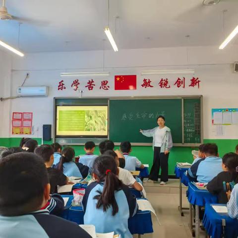 “心如花木 向阳而生”河固小学生命教育主题活动
