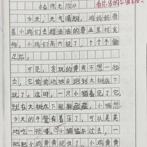 《有惊无险》（一只落单的小鸡）