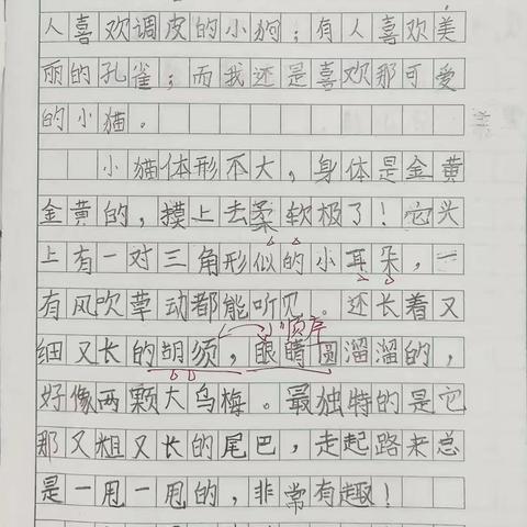 《我最喜欢的小动物》+端午