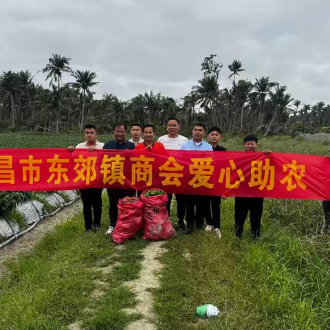 爱心助农，缓解“椒”虑 ，东郊商会在行动