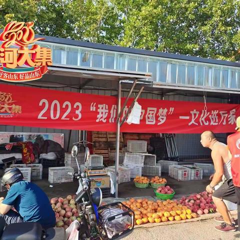 乡村好时节 夏季黄河大集