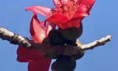 送教下乡沐春风 双减育人助教学