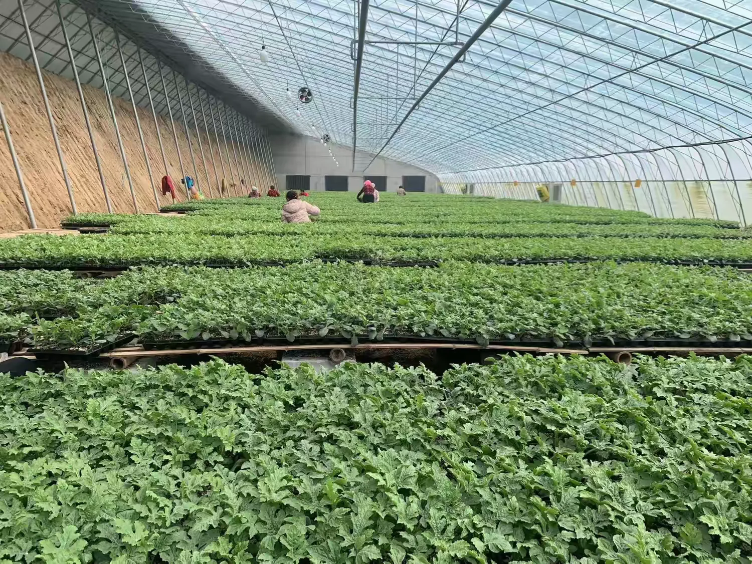 简篇-黄河街道人大:聚焦民生关切 共商发展良策