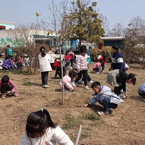 “我给小树松松土”邢庄教育集团石桥校区马庙小学植树节活动