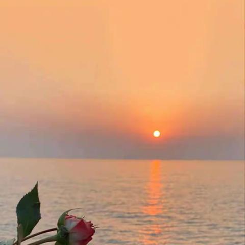 4月第四周物业服务周报