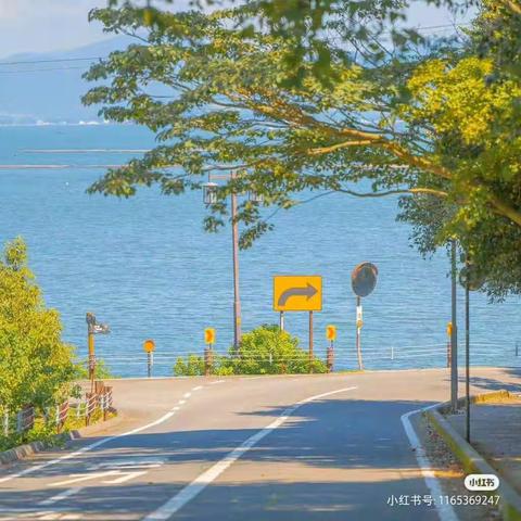 6月第一周物业服务周报