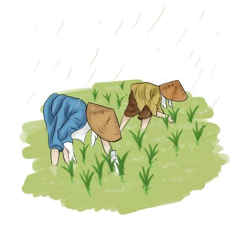 今日谷雨——兴国街幼儿园与您分享