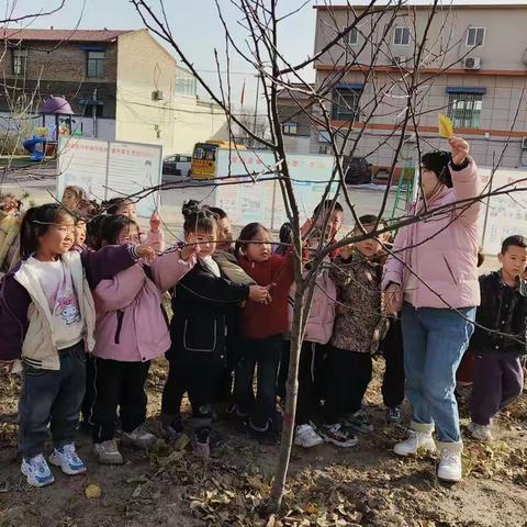 “幼”见大雪  童趣无限——辉煌幼儿园大雪节气活动