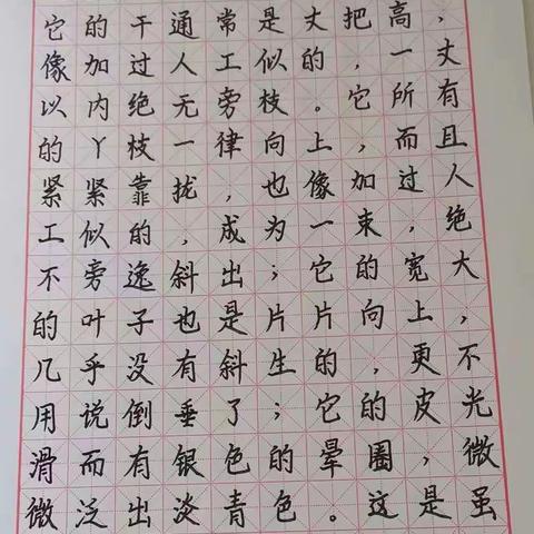 我的暑期生活