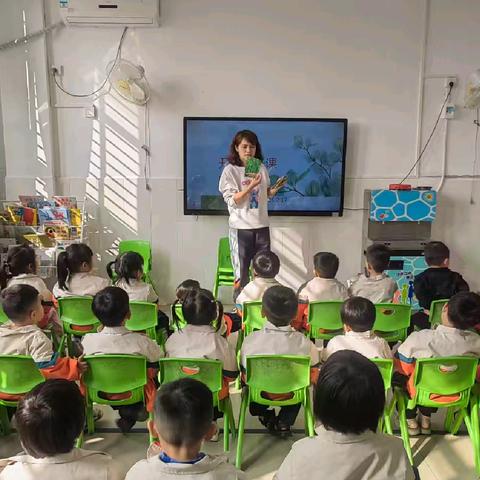 你好！空心菜——中兴中心幼儿园中二班空心菜探索之旅