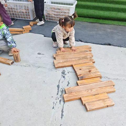 清平镇中心幼儿园军户李分园户外观察记录