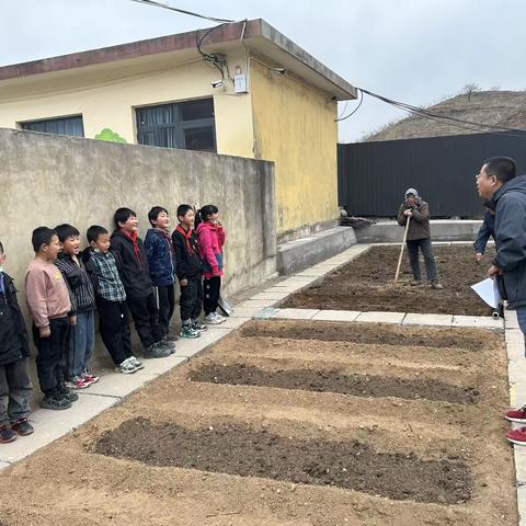 （双减）义院口小学劳动教育系列活动之二             ——“勤耕园里学问多”