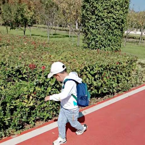 秋日慢时光，亲子自然行——泗阳县民康北园幼儿园中一班