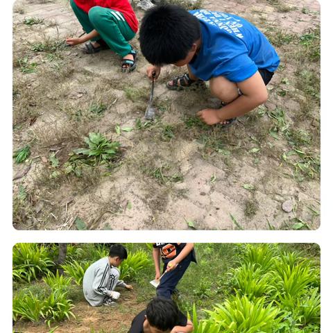 以“劳”树德，以“劳”育美——沙土镇南宋庄小学劳动教育美篇