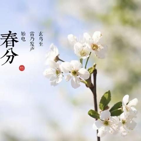 知时节•晓春分——索伦牧场五连小学二十四节气自然教育之春分