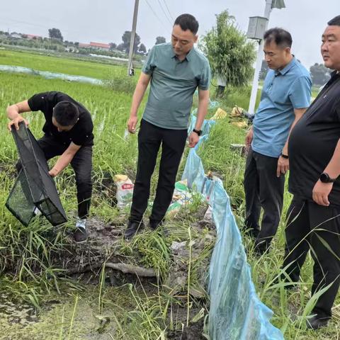 党建引领特色产业 开辟乡村振兴新路径