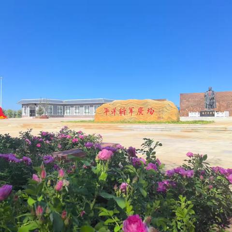 致广大平洋游子的一封家书 ‍ ‍ ‍