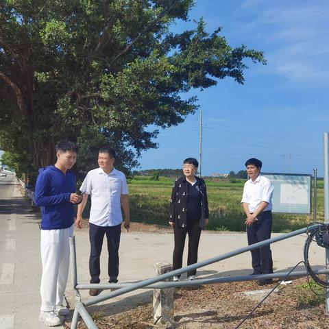 崖州区政协副主席朱肖蔓巡查拱北水