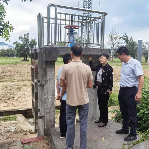 崖州区政协副主席朱肖蔓到镇海村调研基层协商民主成果转化