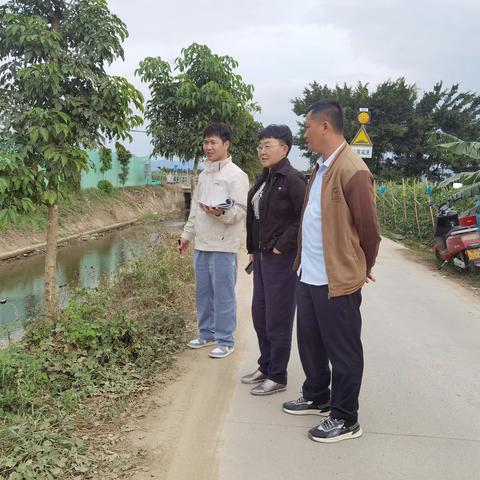 崖州区政协副主席朱肖蔓巡查芒果溪、芒果一水、拱北水