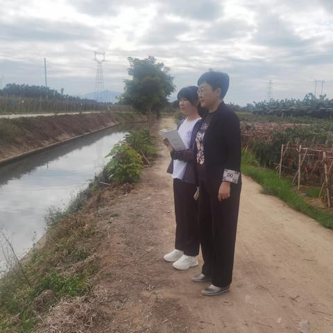崖州区政协副主席朱肖蔓巡查拱北水