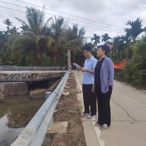崖州区政协副主席朱肖蔓巡查芒果溪、芒果一水