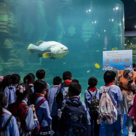 春光正盛，乾江小学畅游海洋学堂，探索海洋文化之旅