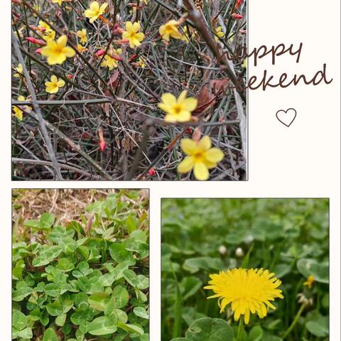 在四月的风里，与春天撞个满怀🌱