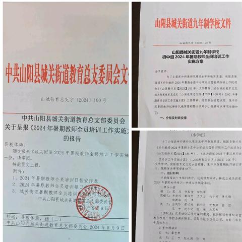 强素质，聚精会神学技能 早着手，系统谋划布新篇 ——城关街道2024年暑期教师全员培训纪实