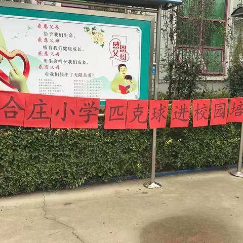 阳光匹克球·活力进校园