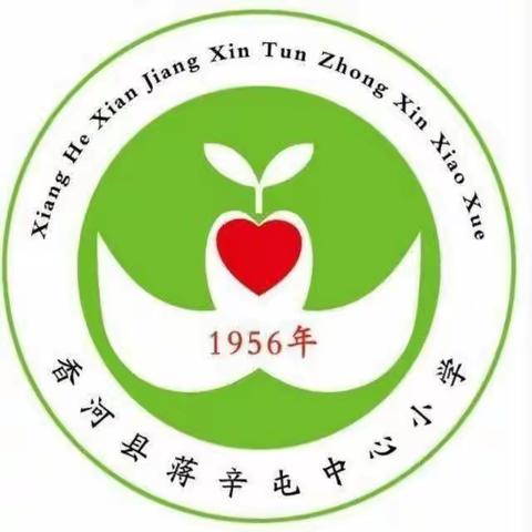 香河县蒋辛屯镇蒋辛屯中心小学第8个全国近视防控宣传教育月工作总结