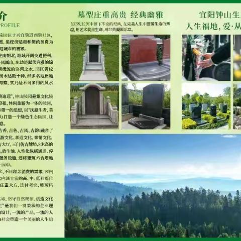宜阳县钟山公墓寒衣节活动