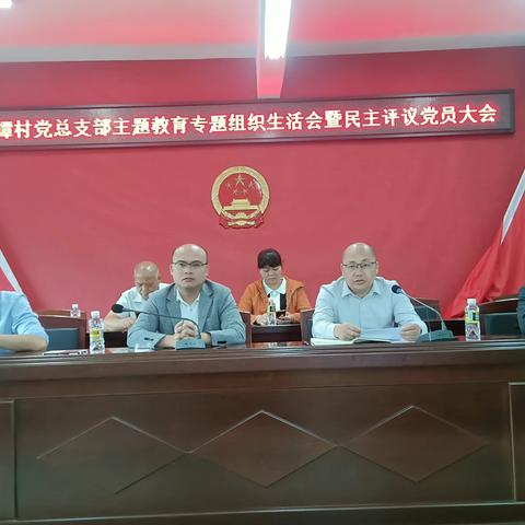 新谭村党总支部召开主题教育专题组织生活会暨民主评议党员大会