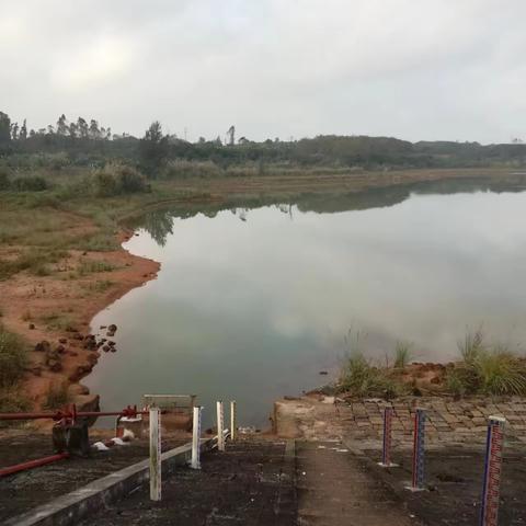 【永兴镇】永兴镇河湖长制巡查动态