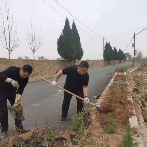 “植”此青绿，共“树”未来——西寺庄乡掀起植树造林热潮