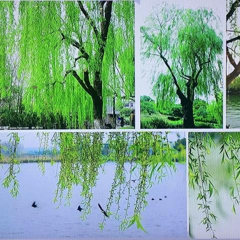 童心妙笔  炫彩童趣——东城幼儿园绘画班美篇